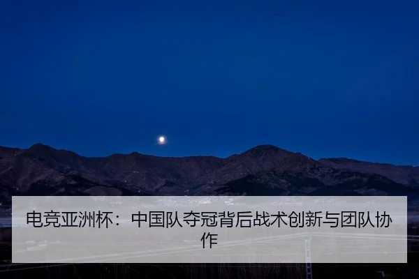 电竞亚洲杯：中国队夺冠背后战术创新与团队协作